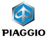 GIUNTO CARDANICO COMPLETO PIAGGIO MP3