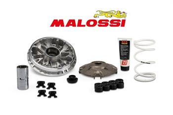 VARIATORE HONDA SH 350 E5 2021>-ADV 350-FORZA 350 MALOSSI