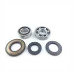 KIT REVISIONE ALBERO MOT.APE MP 600-501-P601 113255-077684