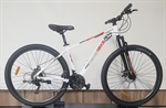 CICLO MTB 29 UOMO MAVERICK 290 ALLOY 21V