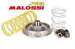 VARIATORE HONDA FORESIGHT 250-X9 -MALOSSI-