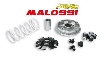 VARIATORE MALAGUTI CENTRO IE 125/160 -MALOSSI-